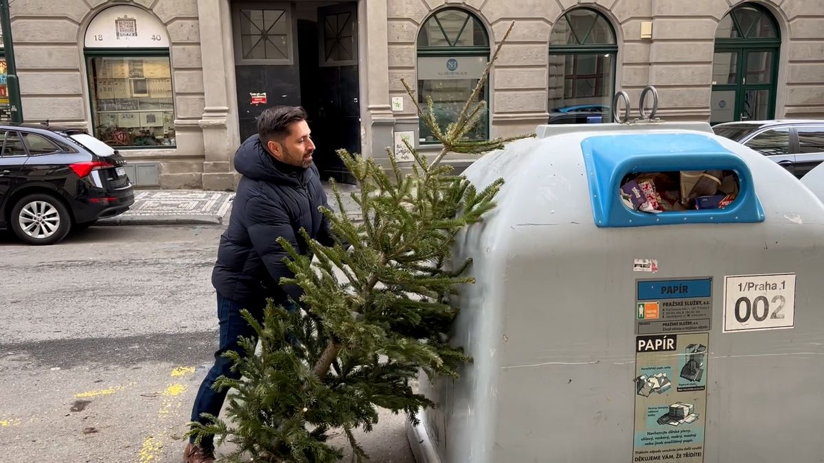 Pražské služby svážejí z ulic tisíce vánočních stromků
